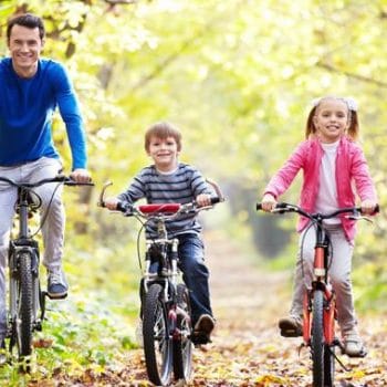 Electric bikes