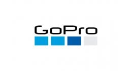 GoPro Dual Enduro Battery & Charger, Hero13 Black