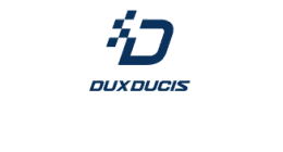 Dux Ducis iPad 10.9 (2022) Domo Tablet Case Blue