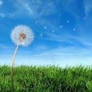 Air Treatment