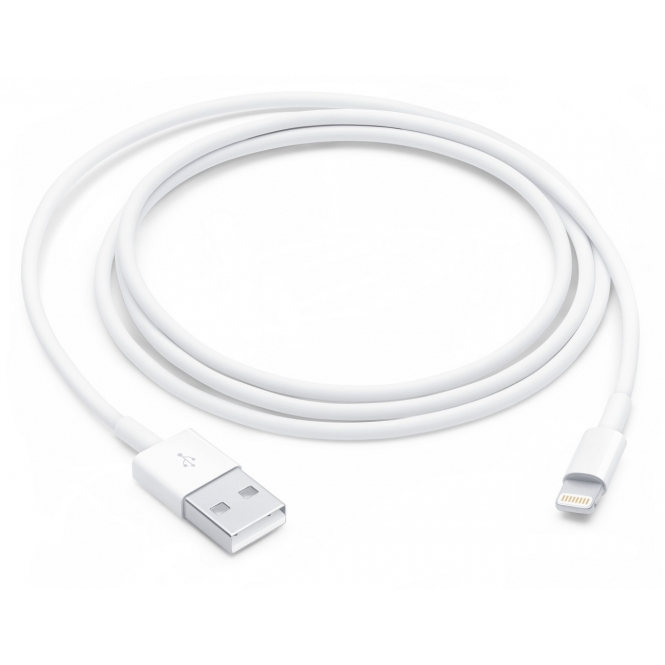 Apple USB-A to Lighting Cable, 1m