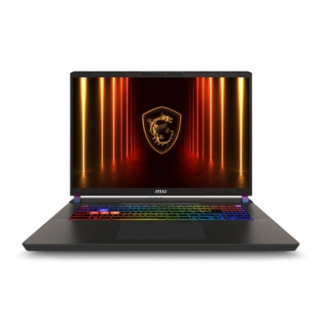 MSI Vector 17