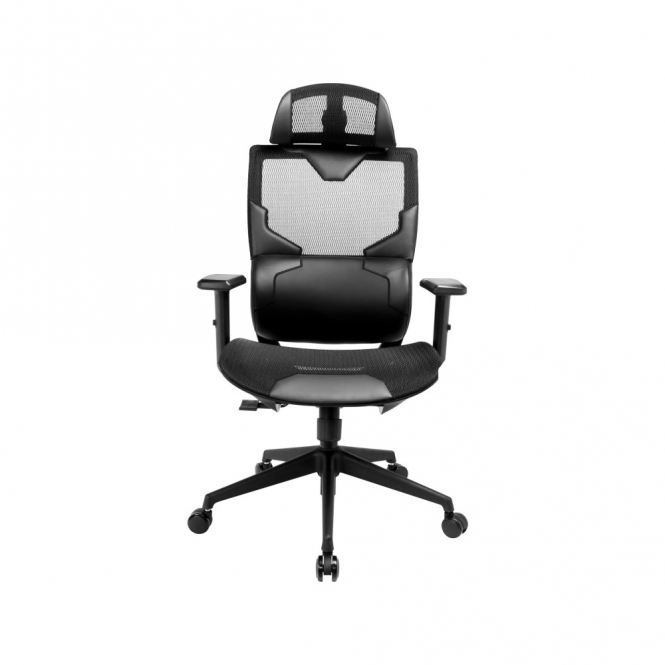 Sandberg ErgoFusion Mesh Chair, Lumbar Support