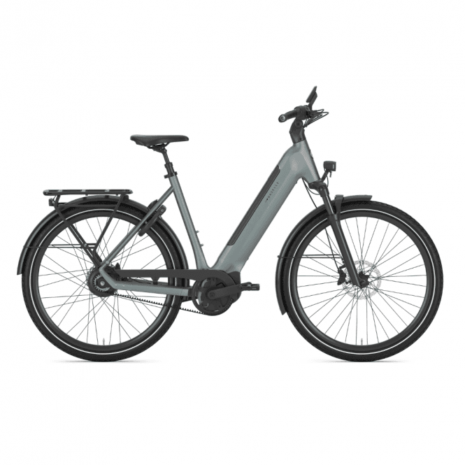 Gazelle Ultimate C380 HMB, 600Wh, Dew Green Matt, 53/Medium