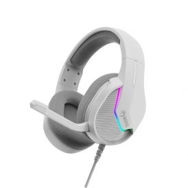 H8618 USB Gaming Headse,| 40mm Drivers, Noise-Reducing Mic, 1.8m Cable